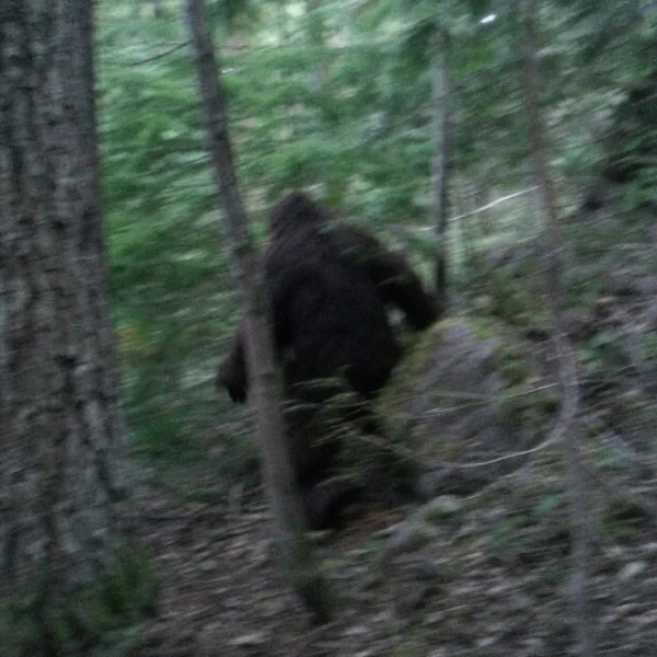 Bigfoot Blur token artwork