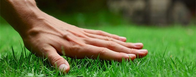 Touch Grass token artwork